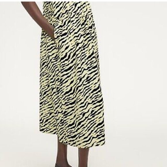 Everlane The Poplin Animal Print Dress Boho Fierce Trendy Striking Pockets  Sz M - Picture 2 of 11